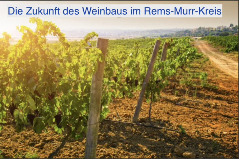 Einsatz von Pflanzenschutzmitteln beim Weinbau im Rems-Murr-Kreis